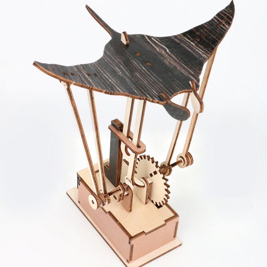 Handmade Wooden Automaton Feiman Taray